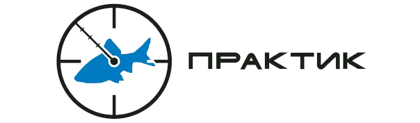 Практик